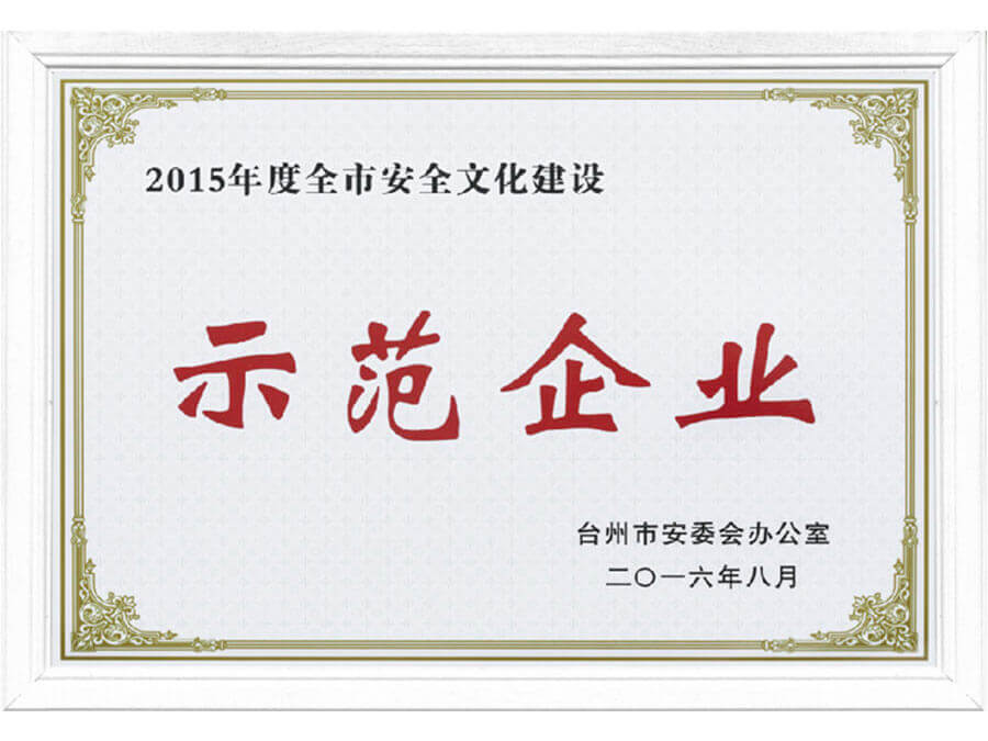 安全文化建設示范企業(yè)